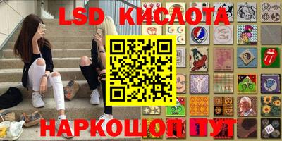 шишки Изобильный