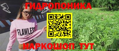мяу мяу мука Ипатово