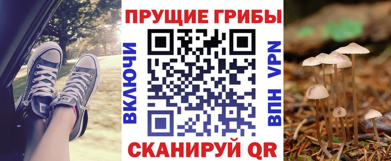 Галлюциногенные грибы Psilocybine cubensis  Муравленко 