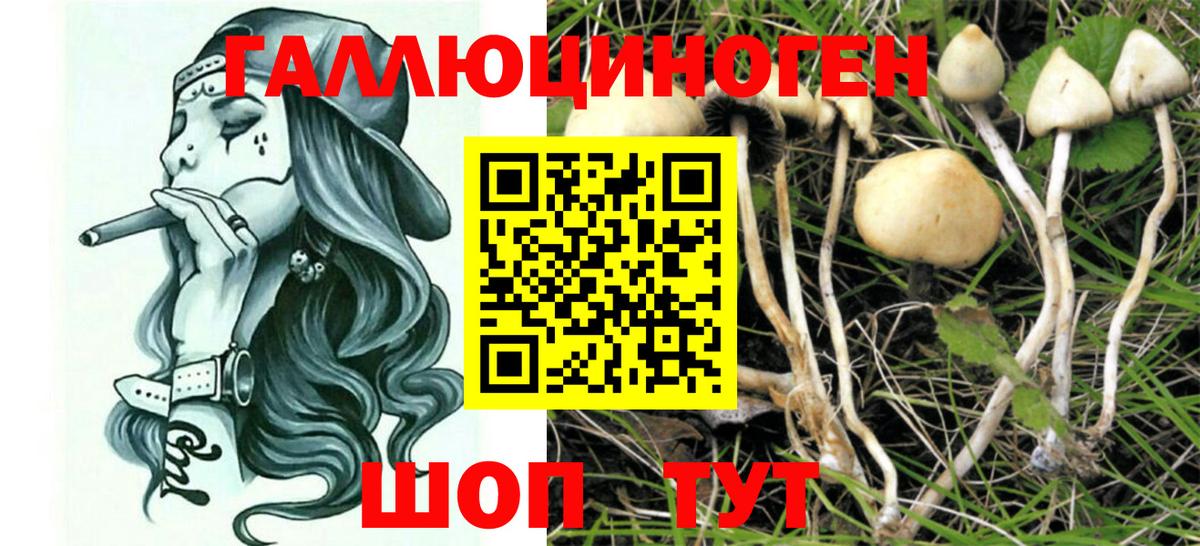 Галлюциногенные грибы Magic Shrooms  Вход с VPN  Муравленко 